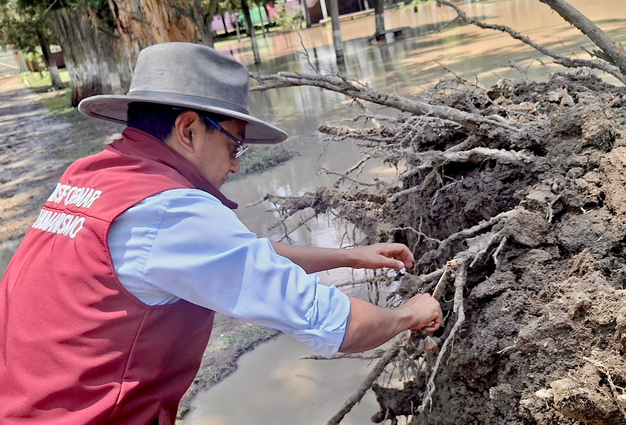 Realizan evaluación preventiva de árboles en la Alameda de Chimalpa tras recientes lluvias