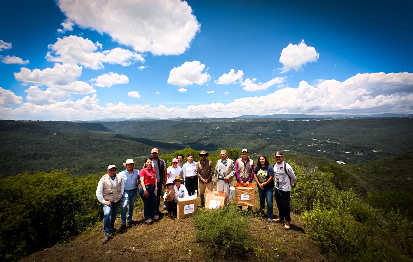Pachuca suma 105 ejemplares de fauna silvestre rehabilitados y reintegrados a su hábitat en 2026