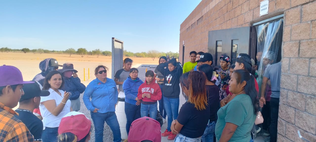 Verifica STPSH condiciones laborales de trabajadores hidalguenses en empresa agrícola de Sonora